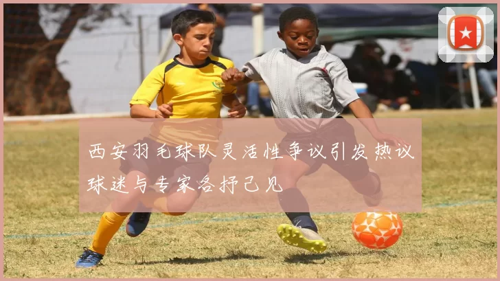 西安羽毛球队灵活性争议引发热议球迷与专家各抒己见
